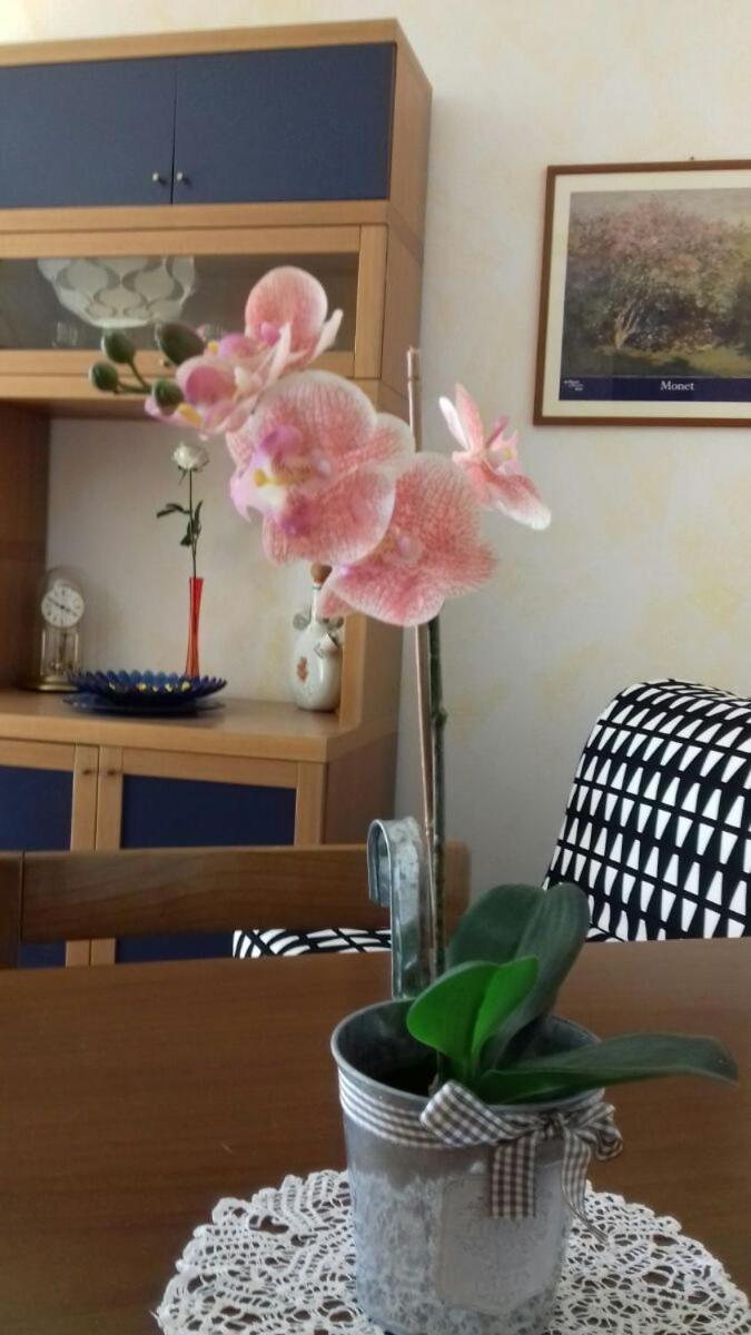 Villa Ramella Baveno Ngoại thất bức ảnh